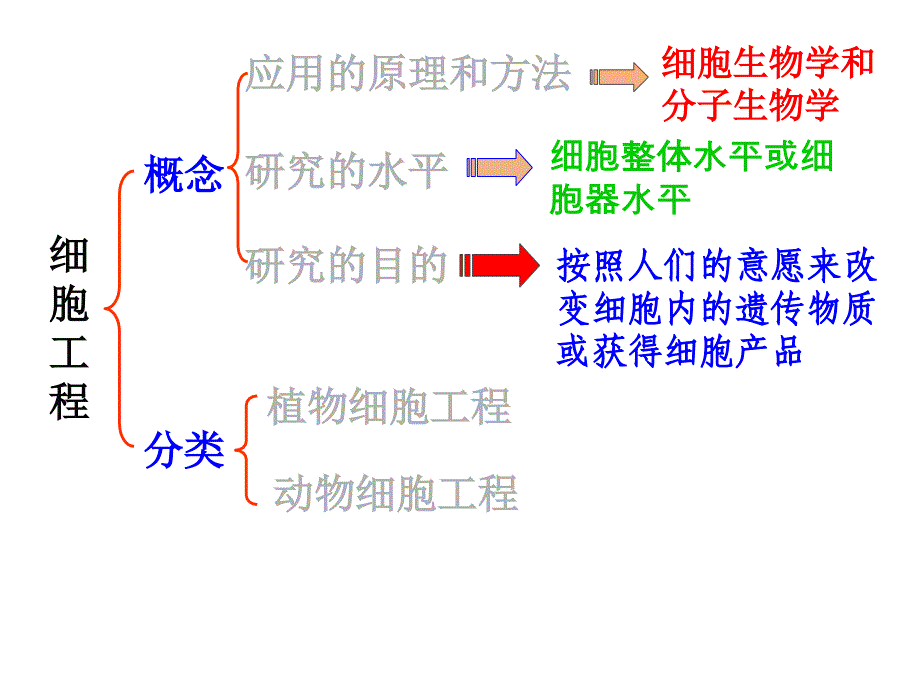 植物细胞工程ppt课件_第3页