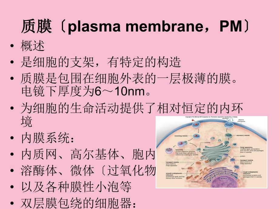 质膜和细胞质ppt课件_第3页