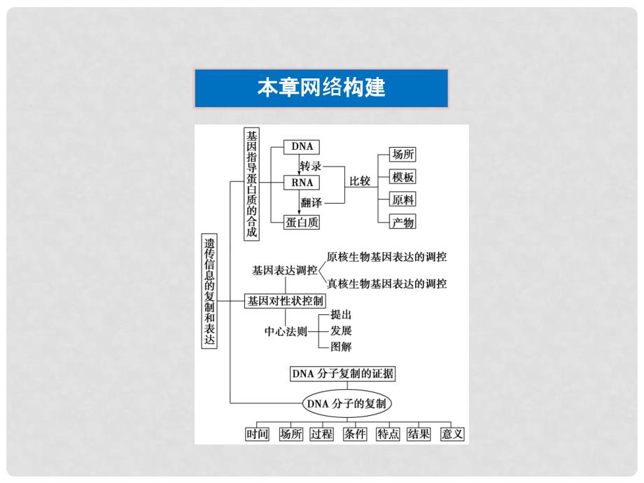 高考生物 第3章本章优化总结精品课件 北师大版必修2_第3页