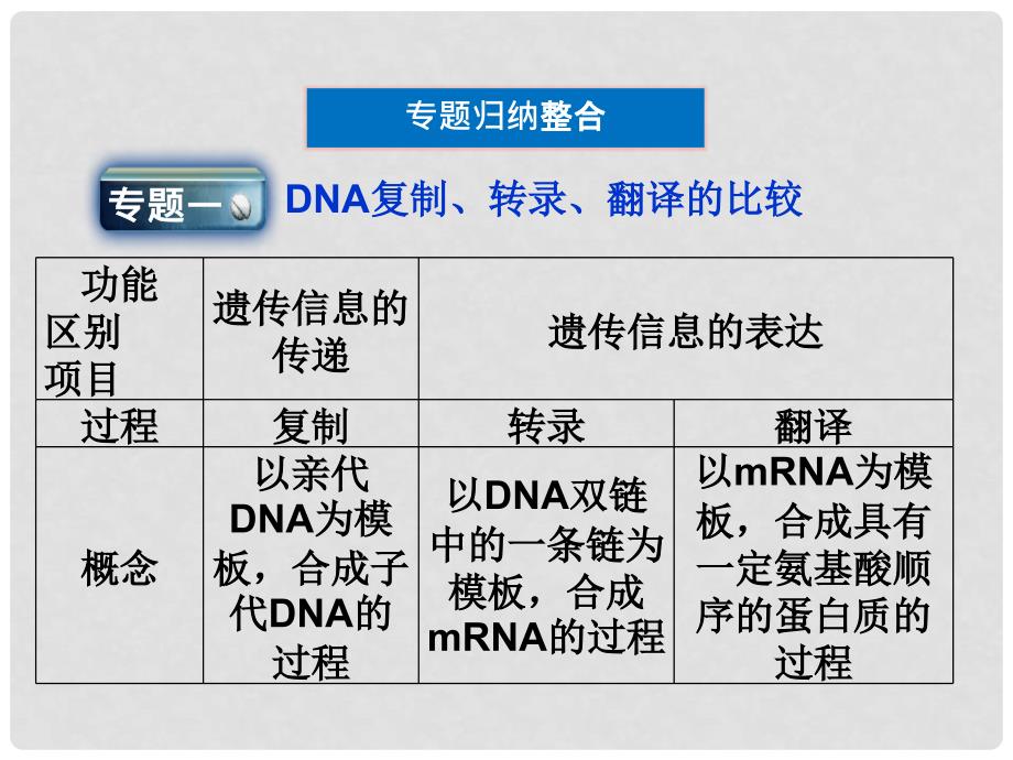 高考生物 第3章本章优化总结精品课件 北师大版必修2_第4页