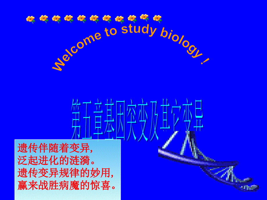 基因突变课件3_第2页