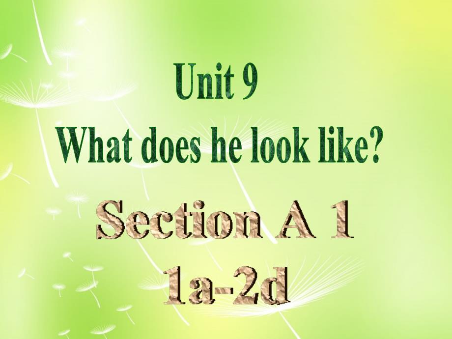 七年级英语 Unit 9 What does he look like Period 1课件_第3页