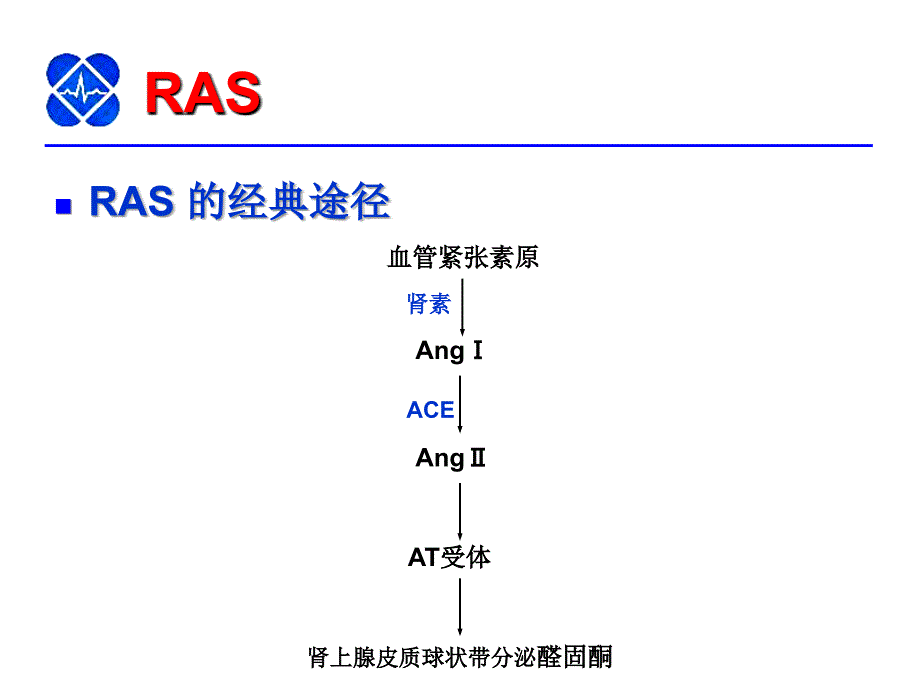 rasi与chf的进展课件幻灯PPT_第4页