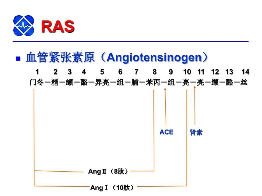 rasi与chf的进展课件幻灯PPT_第5页