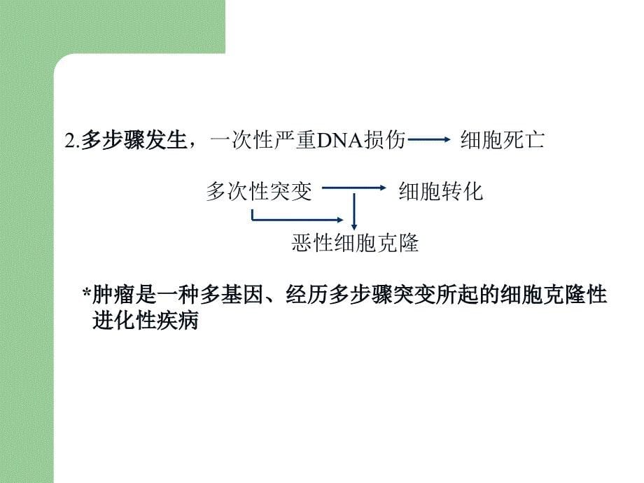 肿瘤的生物学特性_第5页