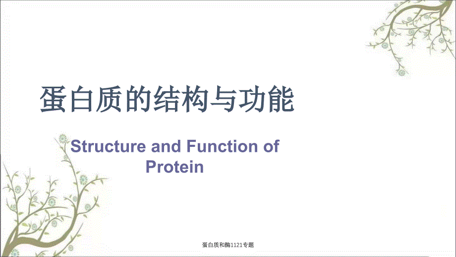 蛋白质和酶1121专题课件_第1页