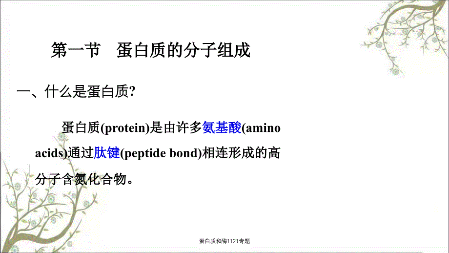 蛋白质和酶1121专题课件_第3页