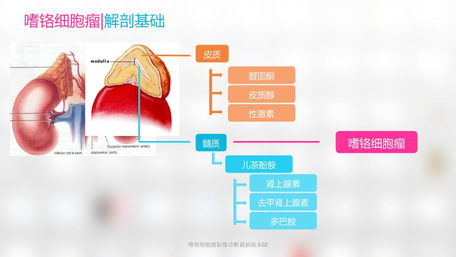 嗜铬细胞瘤影像诊断最新版本02课件_第2页