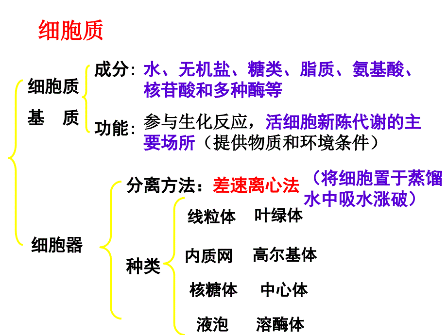 《高一生物细胞器》PPT课件_第2页