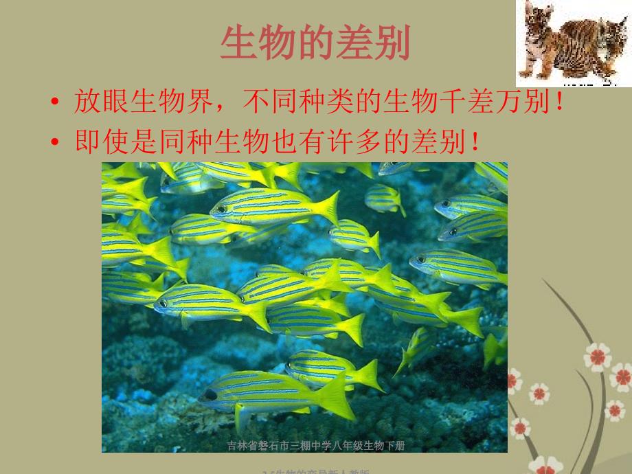 吉林省磐石市三棚中学八年级生物下册2.5生物的变异新人教版课件_第2页