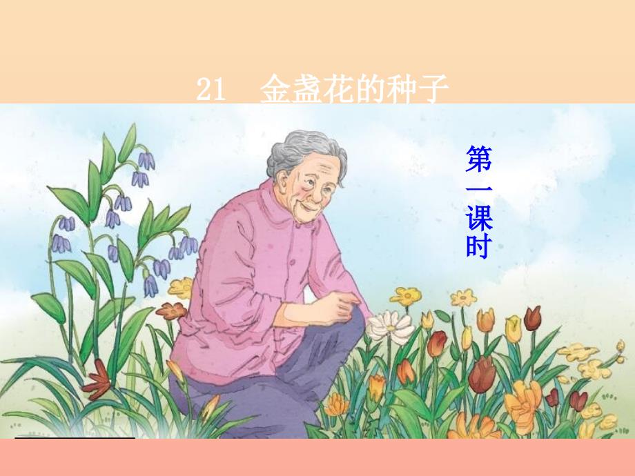 三年级语文上册 第七单元 21 金盏花的种子课件 鄂教版_第1页