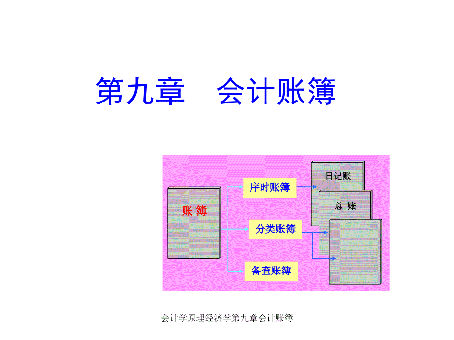 会计学原理经济学第九章会计账簿_第1页