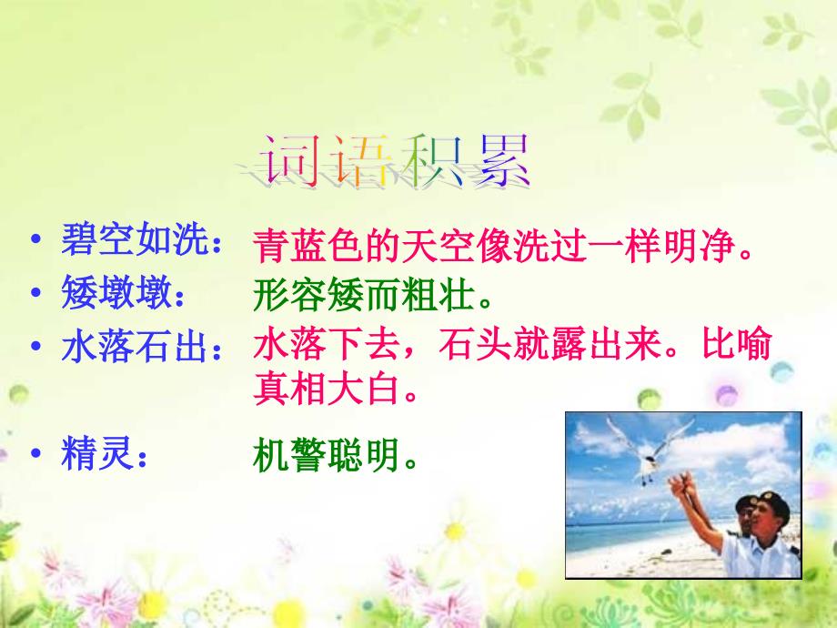 人教版小学语文六年级上册彩色的翅膀PPT课件.ppt[精选文档]_第2页