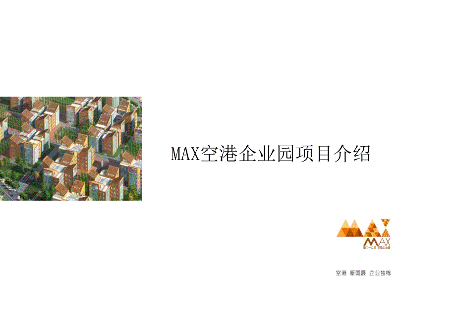 MAX项目营销策划报告_第1页