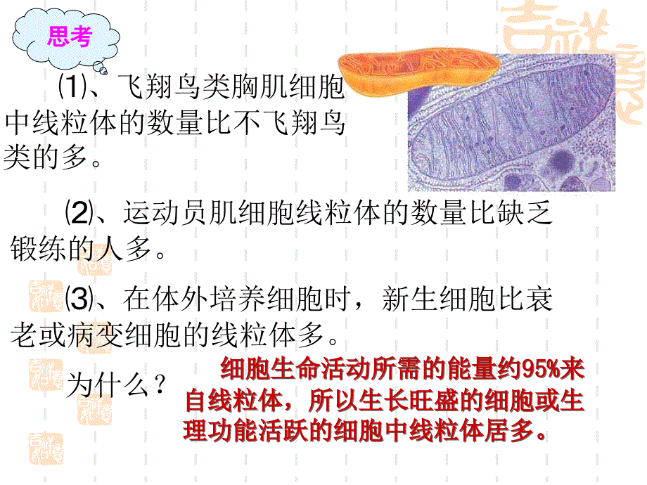 细胞器上课课件_第4页