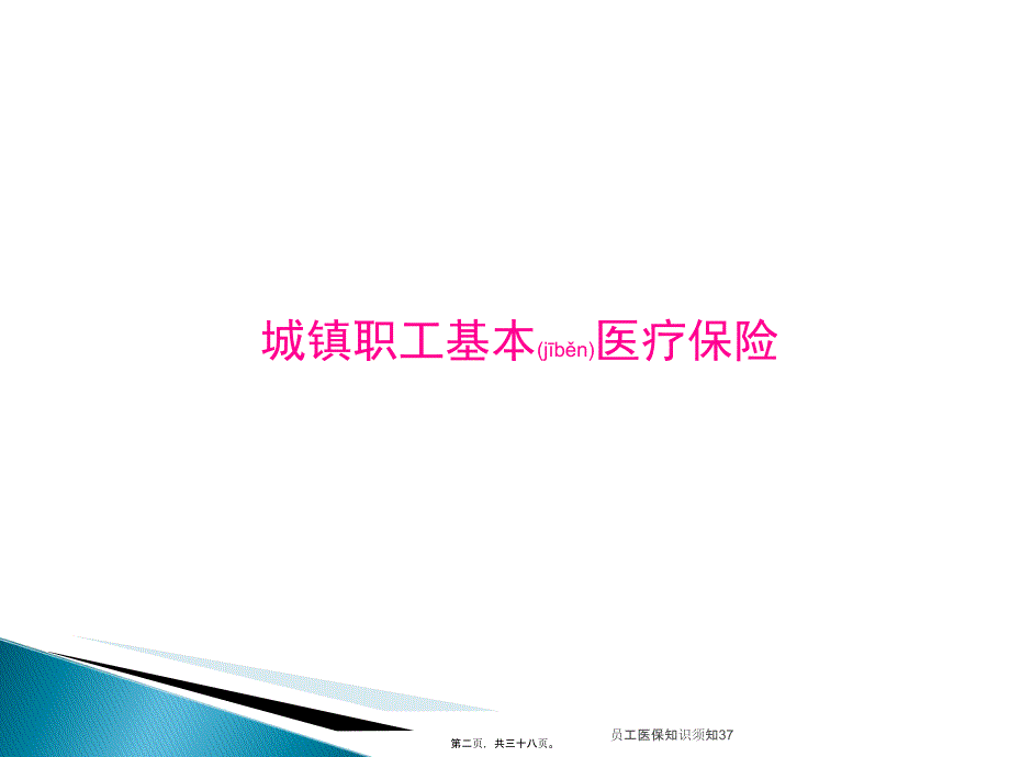 员工医保知识须知37课件_第2页