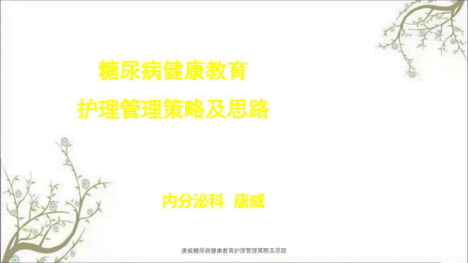 唐威糖尿病健康教育护理管理策略及思路_第1页