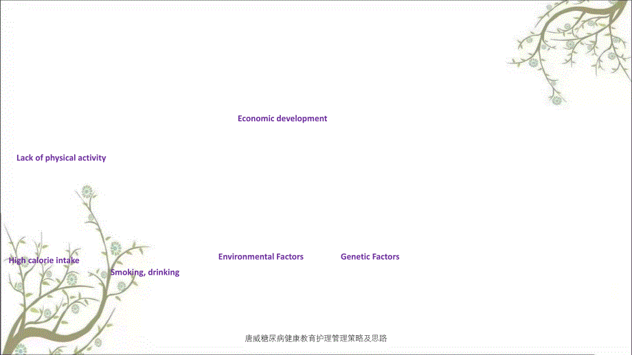 唐威糖尿病健康教育护理管理策略及思路_第2页