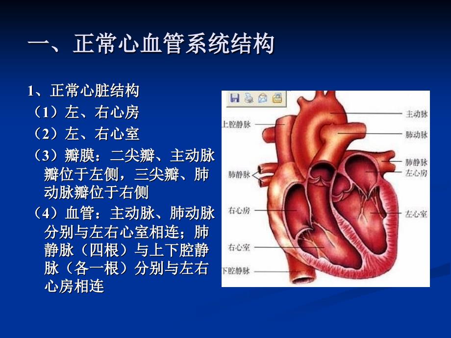 最新常见先天性心脏病PPT课件_第2页