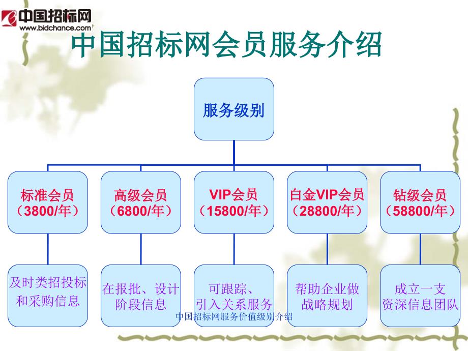 中国招标网服务价值级别介绍课件_第1页