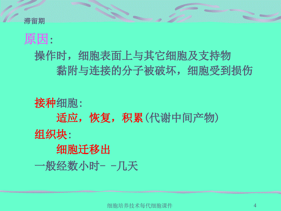 细胞培养技术每代细胞课件_第4页