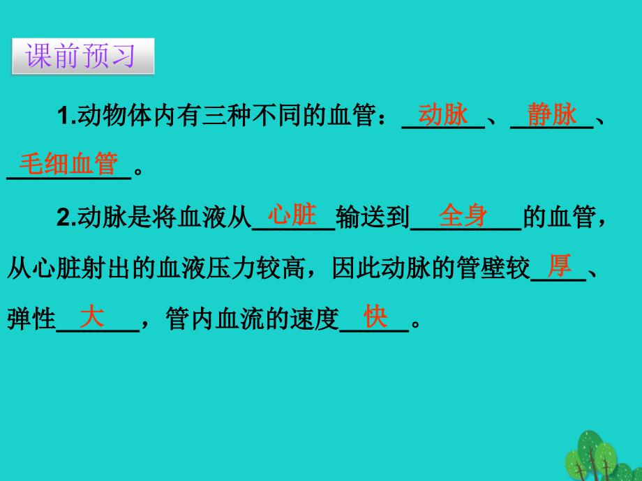 广东省七年级生物下册 第4章 第二节 血流的管道——血管导练课件 （新）新人教_第3页