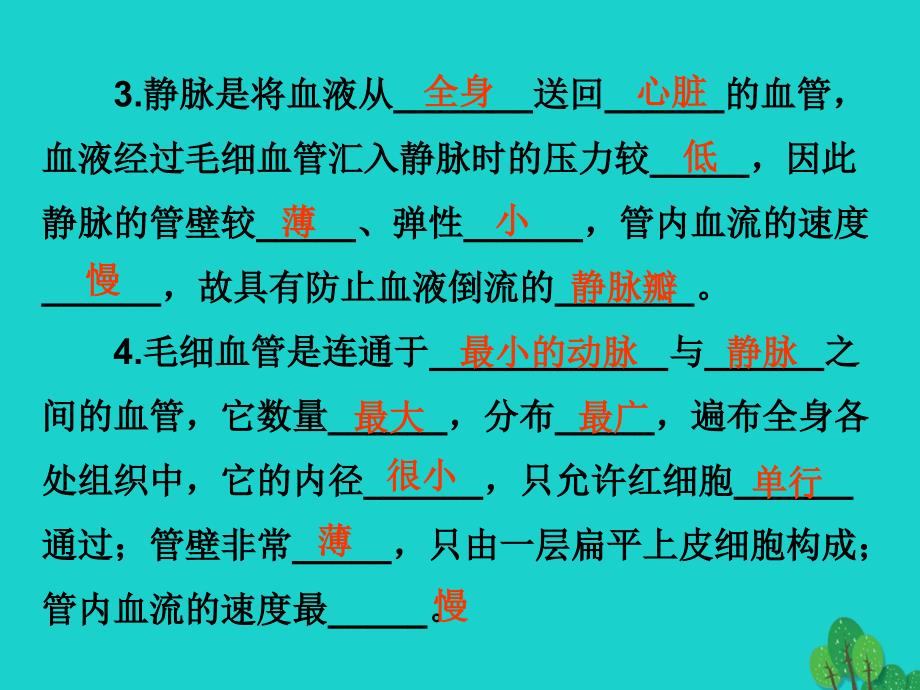 广东省七年级生物下册 第4章 第二节 血流的管道——血管导练课件 （新）新人教_第4页