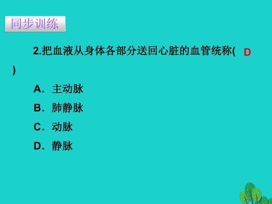 广东省七年级生物下册 第4章 第二节 血流的管道——血管导练课件 （新）新人教_第5页