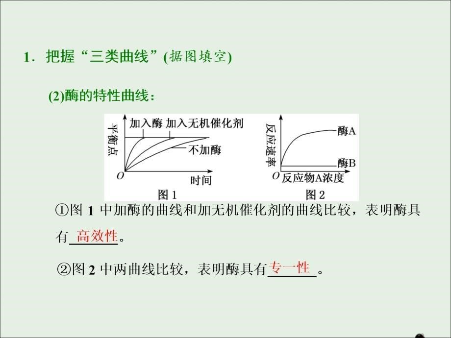 江苏专版高考生物二轮复习专题二代谢主攻点之二代谢之必要条件酶和ATP课件_第5页