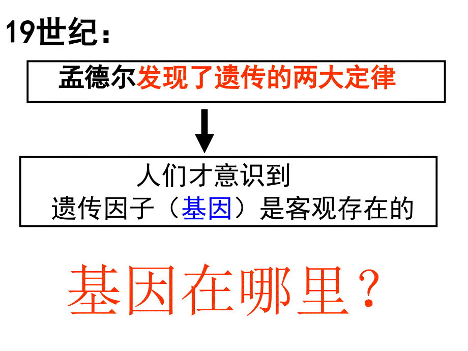 第三节伴性遗传_第2页