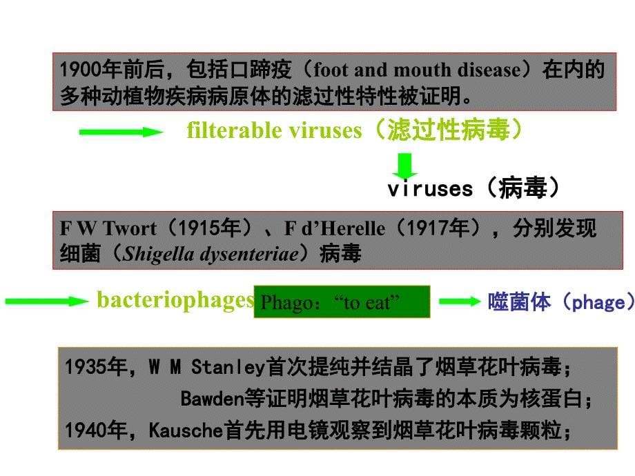 第四章没有细胞结构的微小生物---------病毒 (2)_第5页