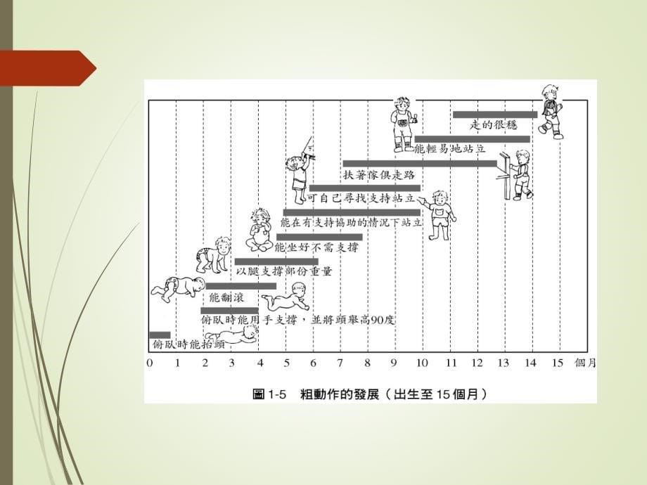 7婴幼儿动作发展_第5页