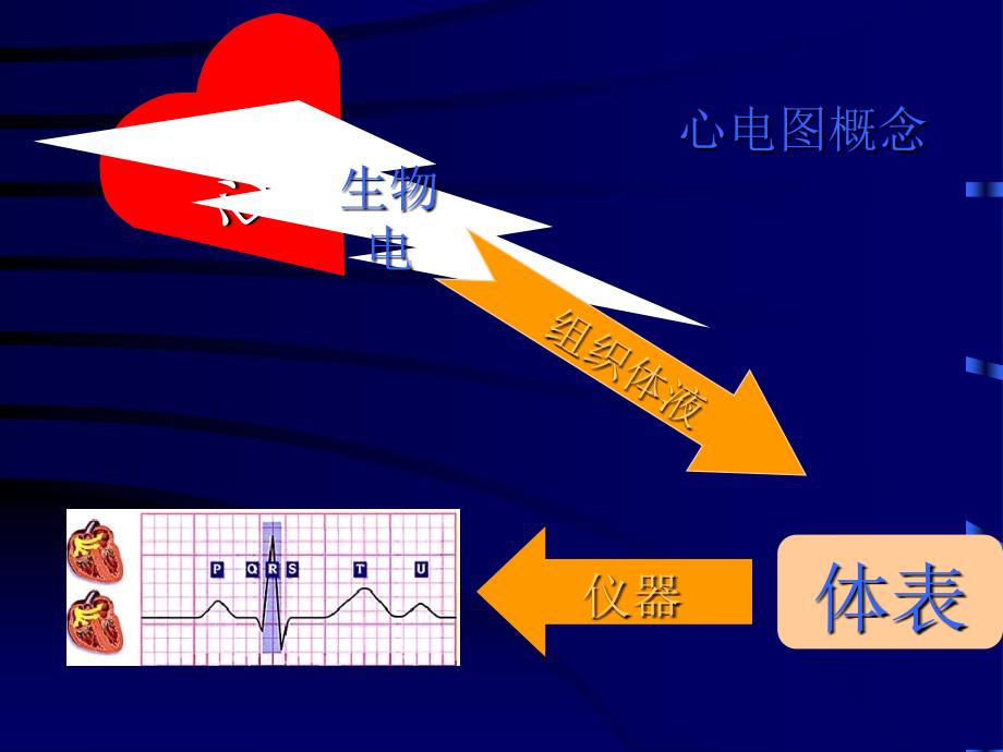 临床心电图基本知识_第2页