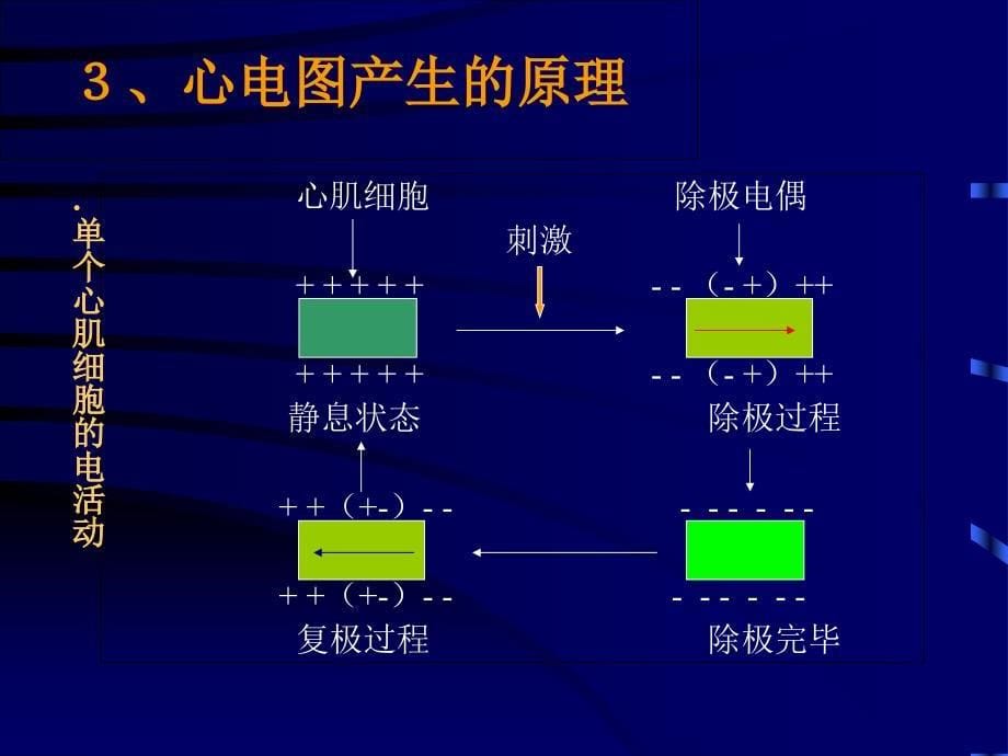 临床心电图基本知识_第5页