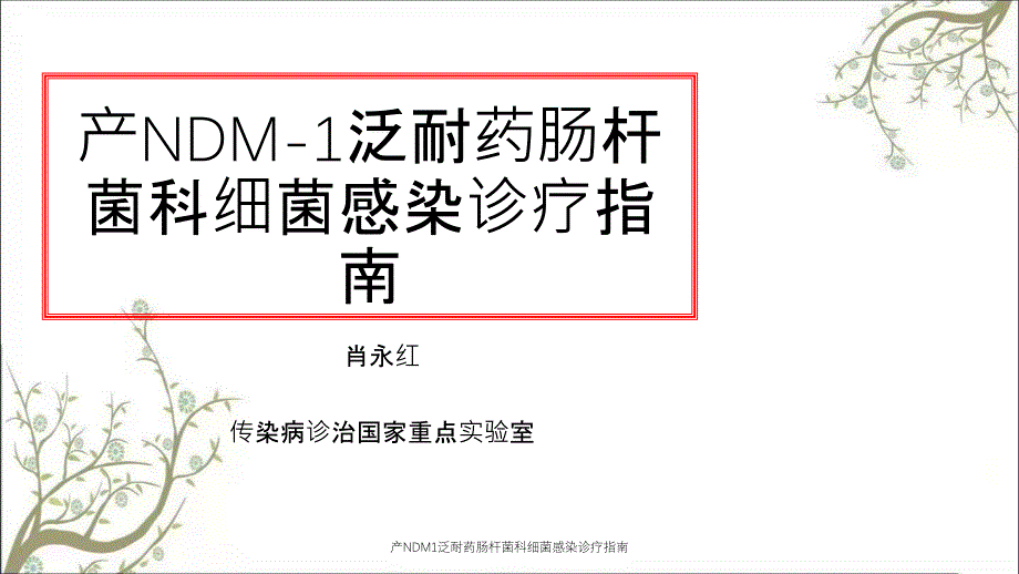 产NDM1泛耐药肠杆菌科细菌感染诊疗指南课件_第1页