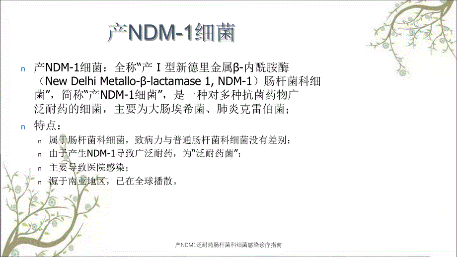 产NDM1泛耐药肠杆菌科细菌感染诊疗指南课件_第3页