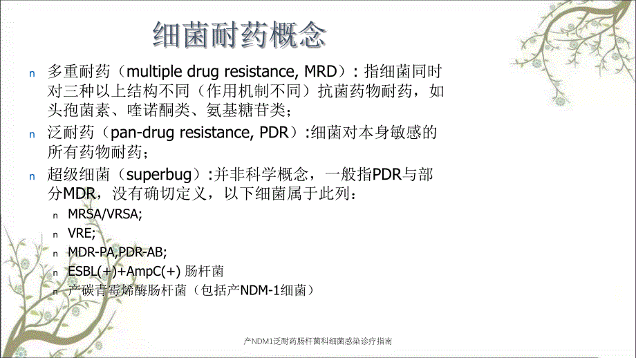 产NDM1泛耐药肠杆菌科细菌感染诊疗指南课件_第4页