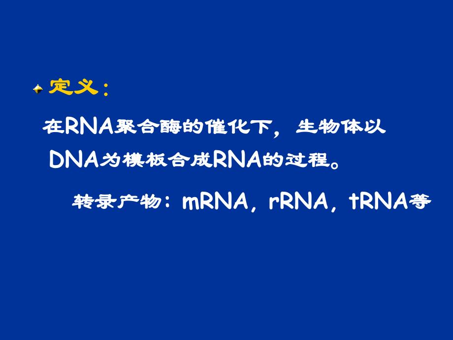 生物化学教学课件rna biosynthesis_第2页