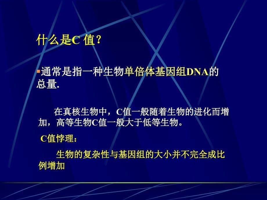 基因组测序与序列组装_第5页