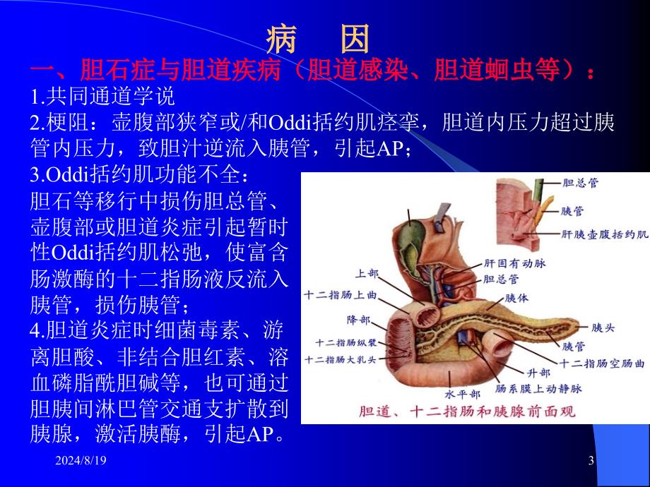 西医内科学课件：急性胰腺炎_第3页