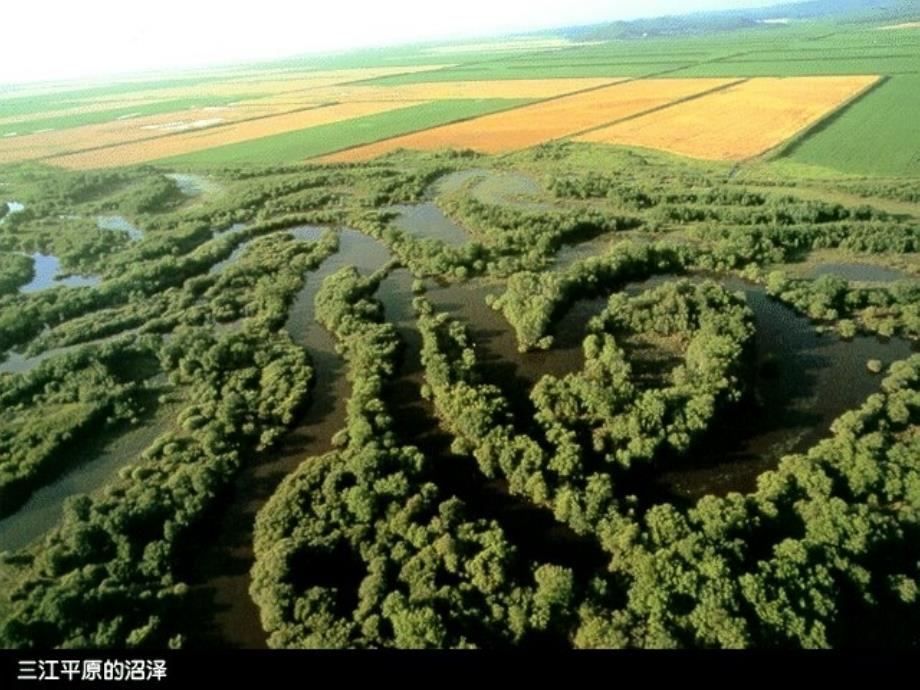 湿地资源的开发和保护_第3页