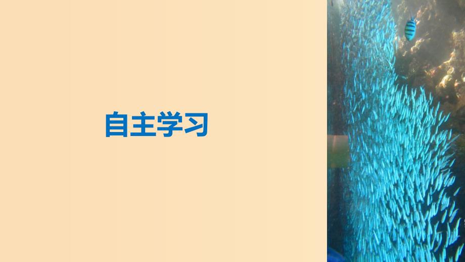 2018-2019高中地理第一章自然灾害概述第二节课时3海洋灾害与生物灾害课件湘教版选修5 .ppt_第4页