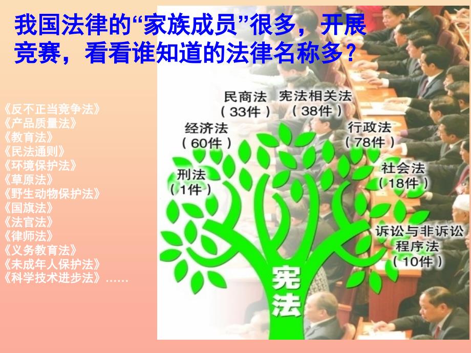 九年级政治全册第三单元融入社会肩负使命第六课参与政治生活第2框宪法是国家的根本大法教学课件新人教版.ppt_第4页