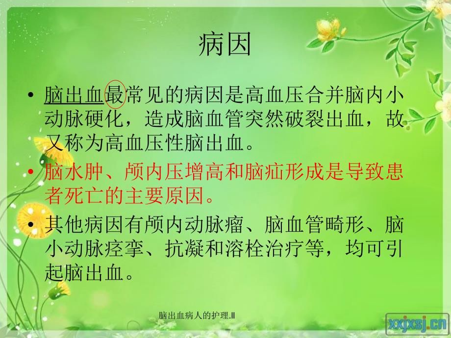 脑出血病人的护理.ll_第3页