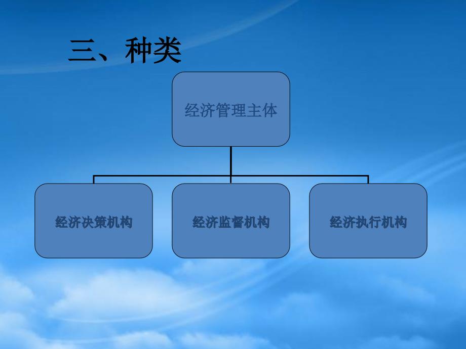 国家经济管理主体PPT73页_第4页