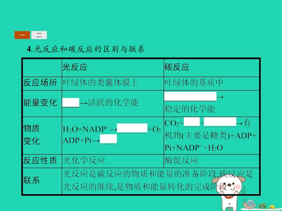 2018-2019高中生物 第5章 细胞的能量代谢 5.3.2 光合作用的过程、光合作用与农业课件 北师大版必修1_第4页