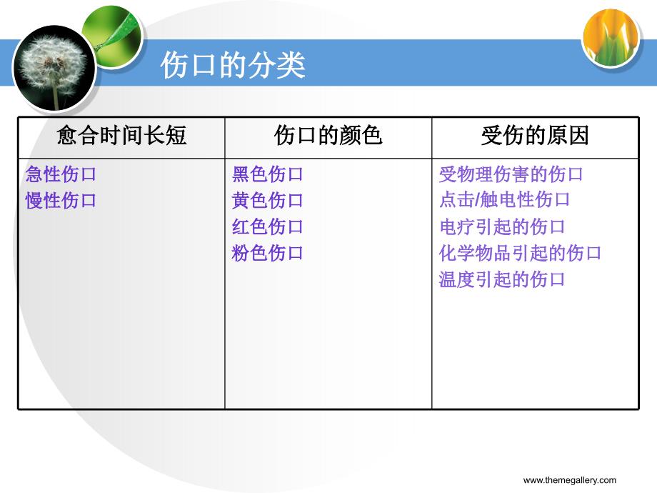 伤口专科培训修改.ppt_第4页