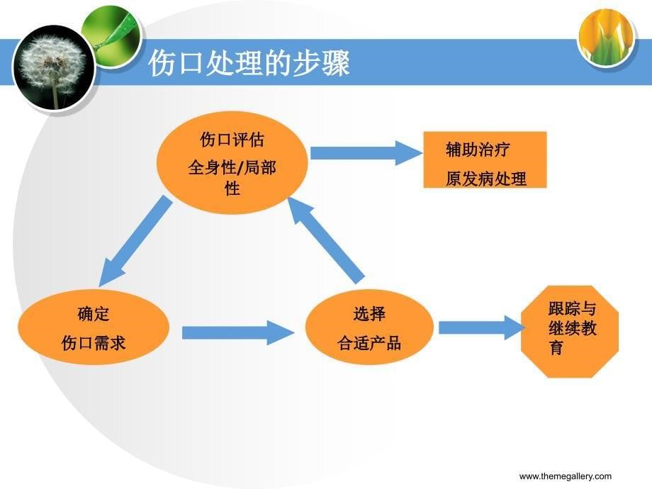 伤口专科培训修改.ppt_第5页