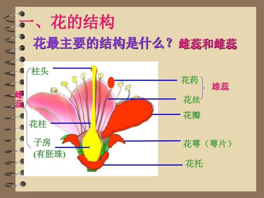 第三单元第二章第三节_第5页