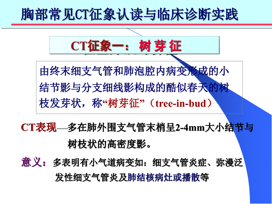 肺部CT-十大入门征象_第3页